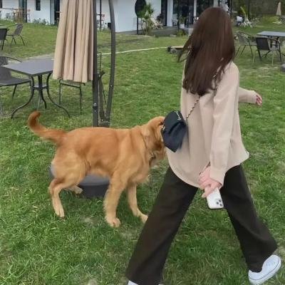 我的街区第二季
